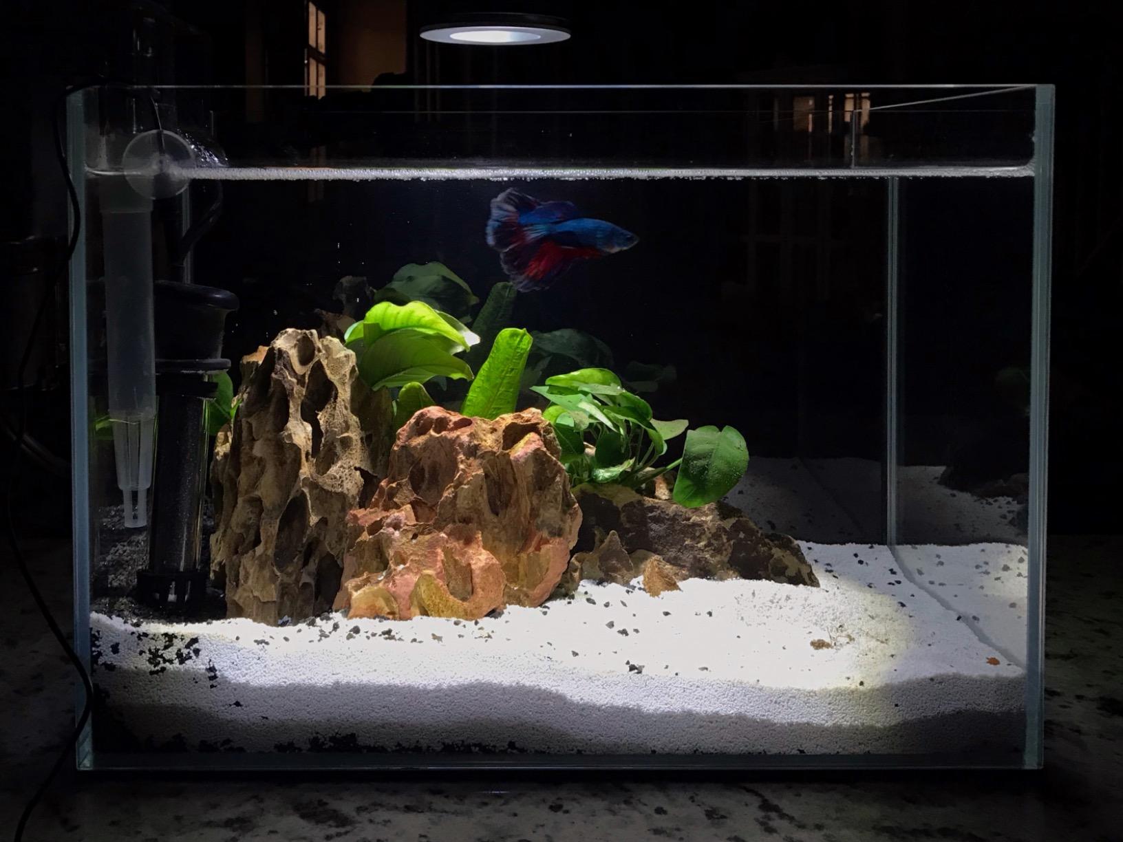 【Furniture】120P 72.2 Gallon Rimless Low Iron Aquarium Tank, 47.2