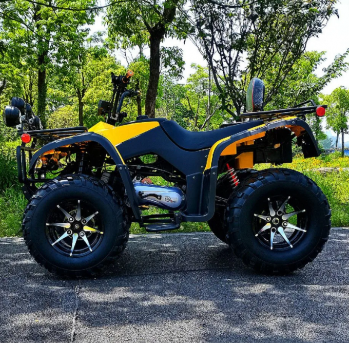 250cc Four-Wheel Drive ATV  Quad ATV Farmer Quad Bike