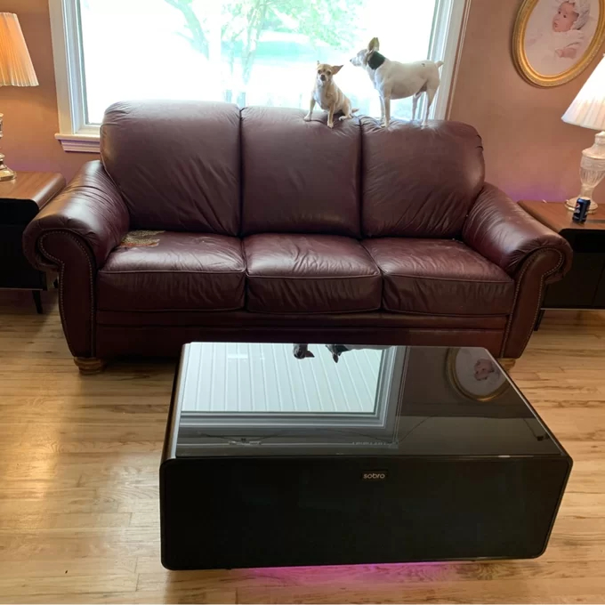 【Furniture】Sobro Smart Coffee Table